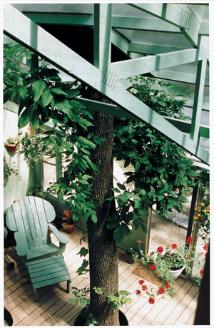 The greenhouse-like garden room is the social center as well as the solar center of the home—serving as the structure’s main energy collector. The exterior of this eco-friendly building is clothed in 125 eight-foot strips of plywood custom-sponged for a funky faux finish, below.